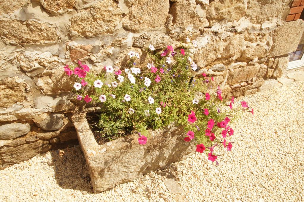 Bed and Breakfast Le Grand Noë Roisey Exterior foto